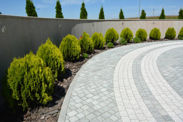 Best Driveway Paving Company  in Bridgeport, WA